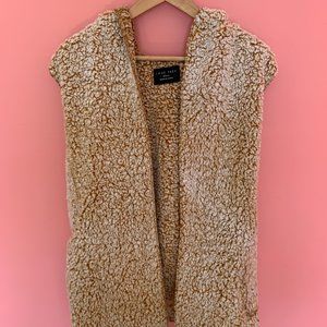 Teddy bear hooded vest